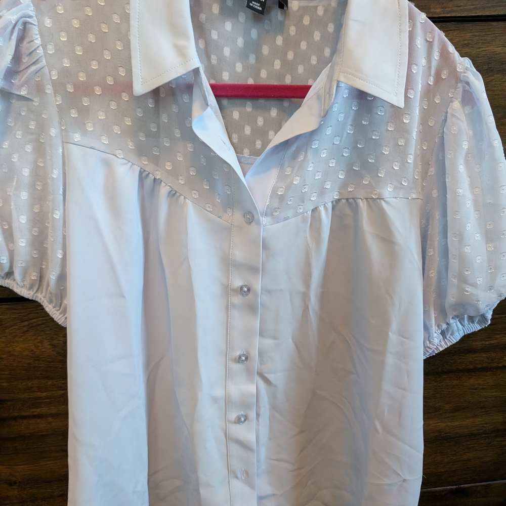 Light Blue Sheer Polka Dot Blouse- Laundry By Shelli Segal Size Small. NWT!